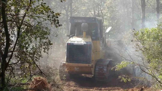 Kocaeli'de çıkan orman yangını söndürüldü