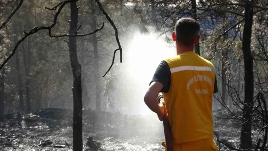 Kocaeli'de çıkan orman yangını söndürüldü