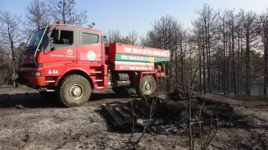 Kocaeli'de çıkan orman yangını söndürüldü