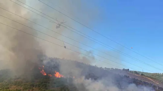 Kocaeli'de çıkan orman yangını büyüyor