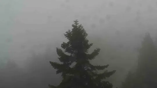 Kocaeli'de fırtına etkili oluyor: Sahillerde dalgalar yükseldi, zirvede yağmur ve sis hakim