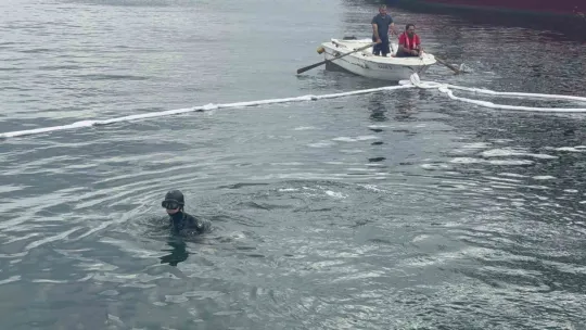 Kocaeli'de freni boşalan tır denize düştü