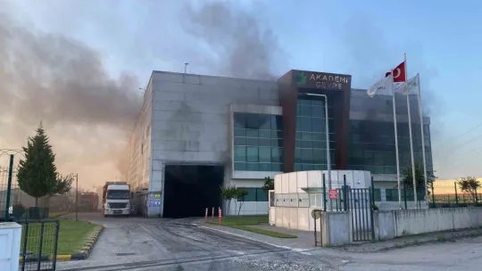 Kocaeli'de geri dönüşüm fabrikasında yangın