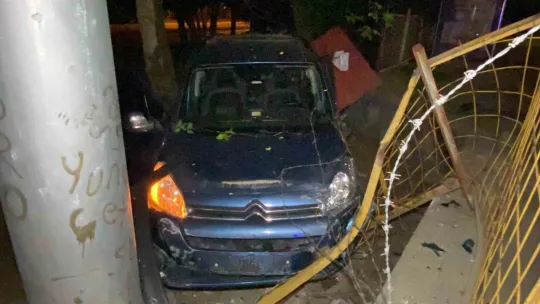 Kocaeli'de hafif ticari araç ağaca çarptı
