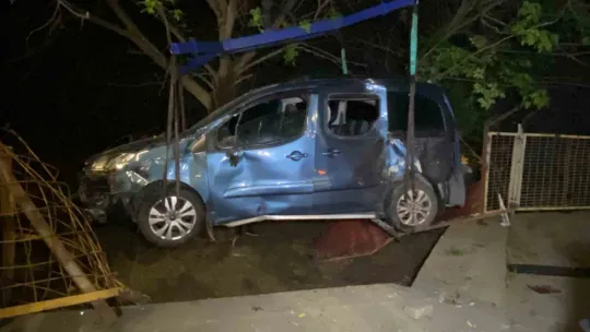Kocaeli'de hafif ticari araç ağaca çarptı