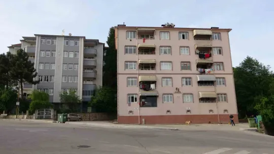 Kocaeli'de hayrete düşüren olay: 8 ebabil kuşu telef oldu