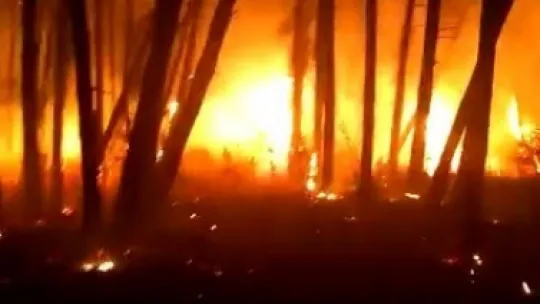 Kocaeli'de iki farklı noktada yangın