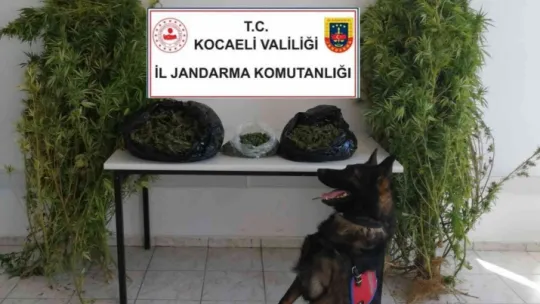 Kocaeli'de 11 kilo uyuşturucu ele geçirdi