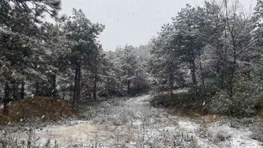 Kocaeli'de kar yağışı etkili oluyor