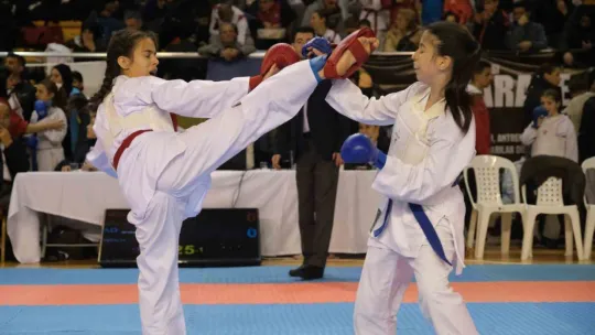 Kocaeli'de karate coşkusu