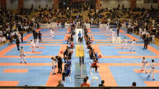 Kocaeli'de karate coşkusu