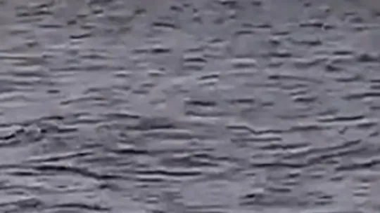 Kocaeli'de kayık alabora oldu: 1 kişi kurtarıldı, 1 kişi aranıyor