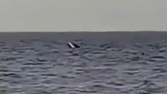 Kocaeli'de kayık alabora oldu: 1 kişi kurtarıldı, 1 kişi aranıyor