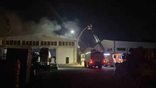 Kocaeli'de kimya firmasında yangın