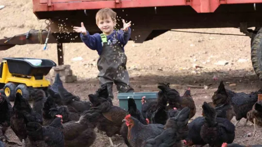 Kocaeli'de kırsal kalkınmaya kanatlı destek