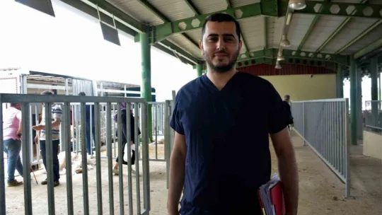 Kocaeli'de kurbanlık hayvan girişleri başladı