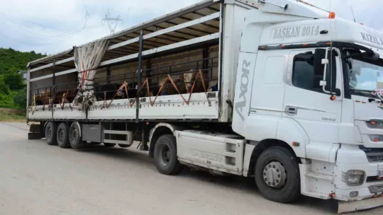 Kocaeli'de kurbanlık hayvan girişleri başladı