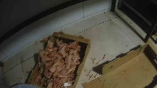 Kocaeli'de merdiven altı tavuk parçalama tesisine suçüstü