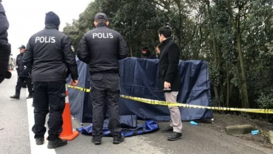 Kocaeli'de öldürdükleri adamı yol kenarına atan sanıkların ifadeleri kan dondurdu!