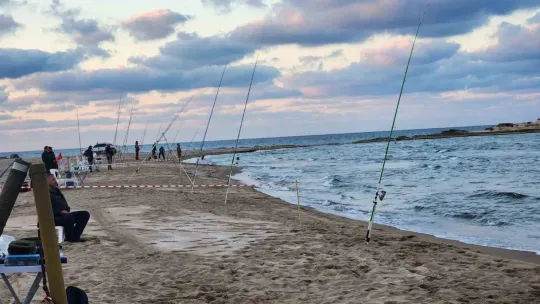 Kocaeli'de olta ustaları yarışıyor