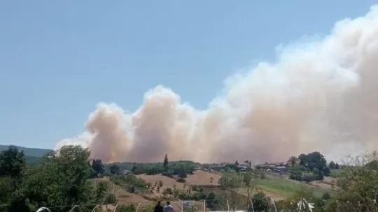 Kocaeli'de orman yangını