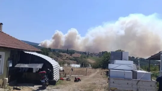 Kocaeli'de orman yangını