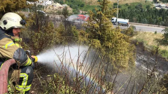 Kocaeli'de orman yangını