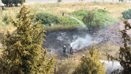 Kocaeli'de orman yangını