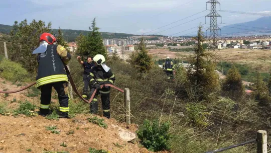 Kocaeli'de orman yangını