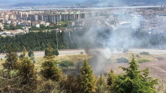 Kocaeli'de orman yangını