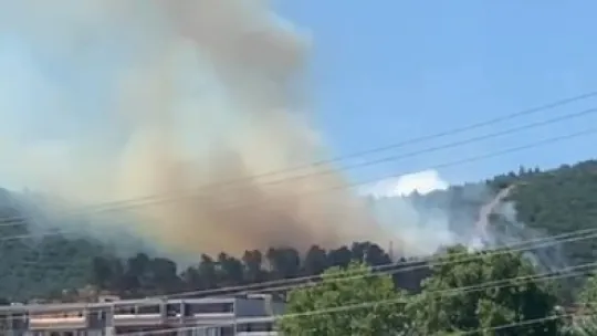 Kocaeli'de orman yangını çıktı