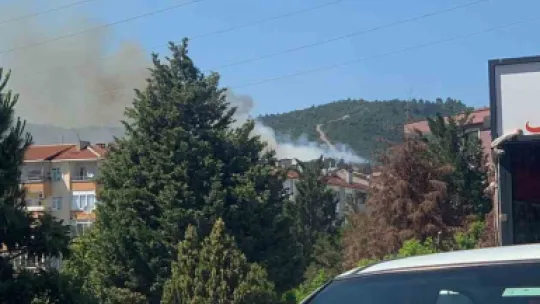 Kocaeli'de orman yangını çıktı