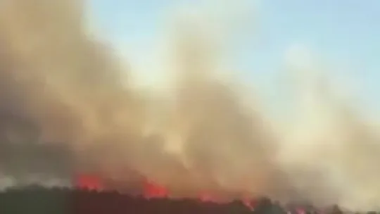 Kocaeli'de orman yangını çıktı