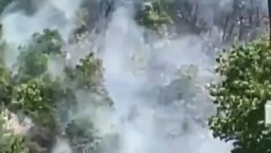 Kocaeli'de orman yangını
