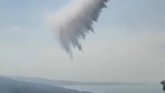 Kocaeli'de orman yangını