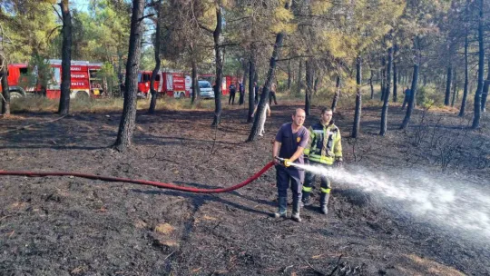 Kocaeli'de orman yangını