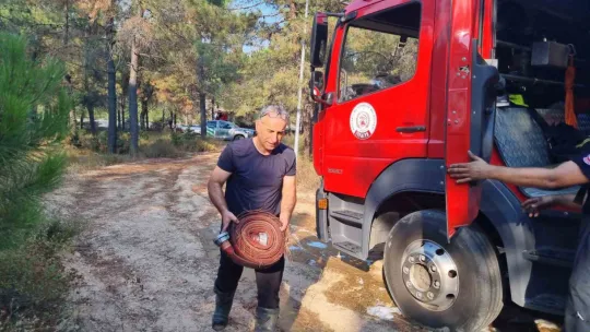 Kocaeli'de orman yangını