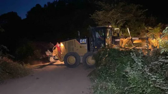 Kocaeli'de orman yangını