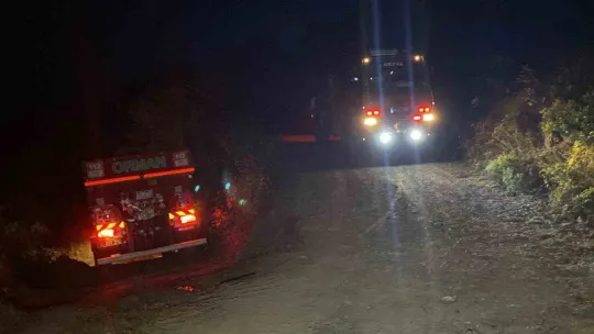 Kocaeli'de orman yangını