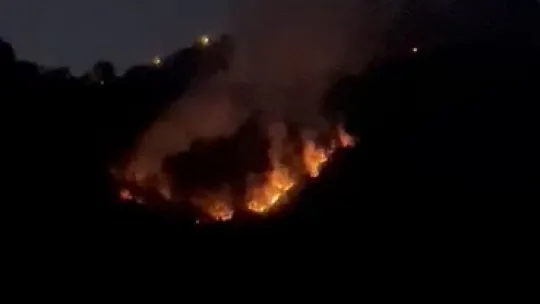 Kocaeli'de orman yangını