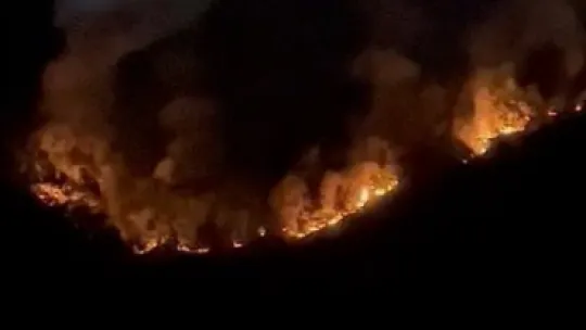 Kocaeli'de orman yangını