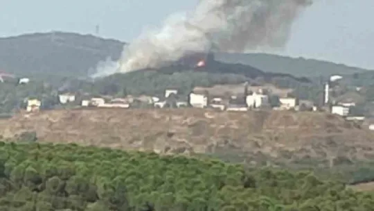 Kocaeli'de orman yangını