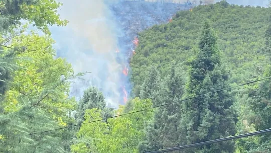 Orman yangınına helikopterle müdahale
