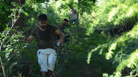 Kocaeli'de ormanlık alanda yangın çıktı
