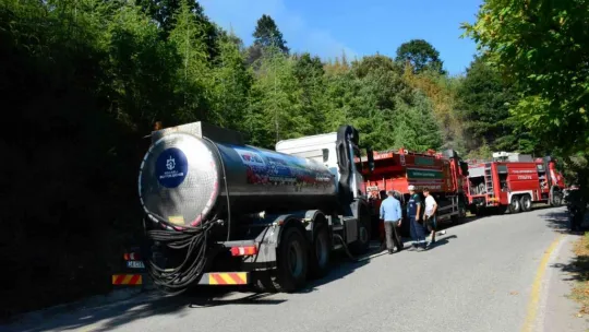 Kocaeli'de ormanlık alanda yangın çıktı