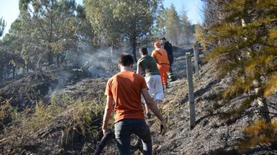 Kocaeli'de ormanlık alanda yangın çıktı