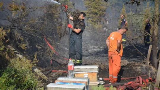 Kocaeli'de ormanlık alanda yangın çıktı