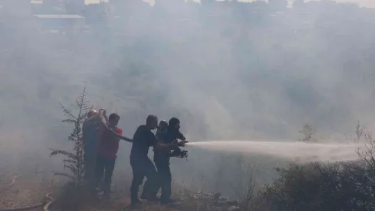 Kocaeli'de ormanlık alanda çıktı, 4 hektar alan küle döndü