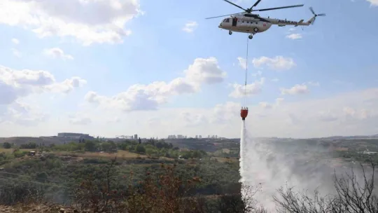 Kocaeli'de ormanlık alanda çıktı, 4 hektar alan küle döndü