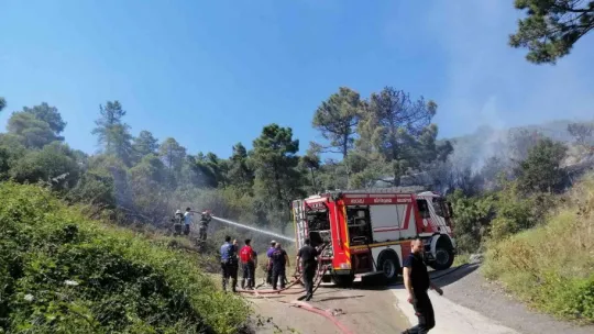 Kocaeli'de ormanlık alanda yangın çıktı